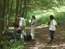 N°24: Les Vaux de Cernay - 12 Juin 2005