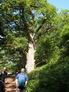 N°9: Les Vaux de Cernay - 12 Juin 2005