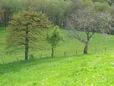 1er Mai: sur le chemin