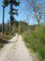 1er Mai: sur le chemin