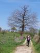 1er Mai: sur le chemin