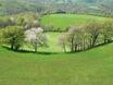 2 Mai: sur le chemin