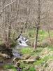 23 Avril: sur le chemin