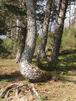 24 Avril: sur le chemin