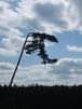 24 Avril: sur le chemin