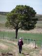 27 Avril: sur le chemin