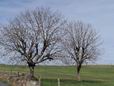 27 Avril: sur le chemin