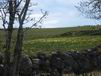 27 Avril: sur le chemin