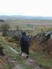 28 Avril: ce matin il pleut fort