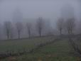 28 Avril: sur le chemin
