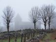 29 Avril: la domerie d'Aubrac