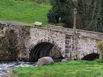 29 Avril: pont sur le Lot