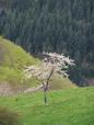 29 Avril: sur le chemin