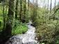 29 Avril: ruisseau tumultueux